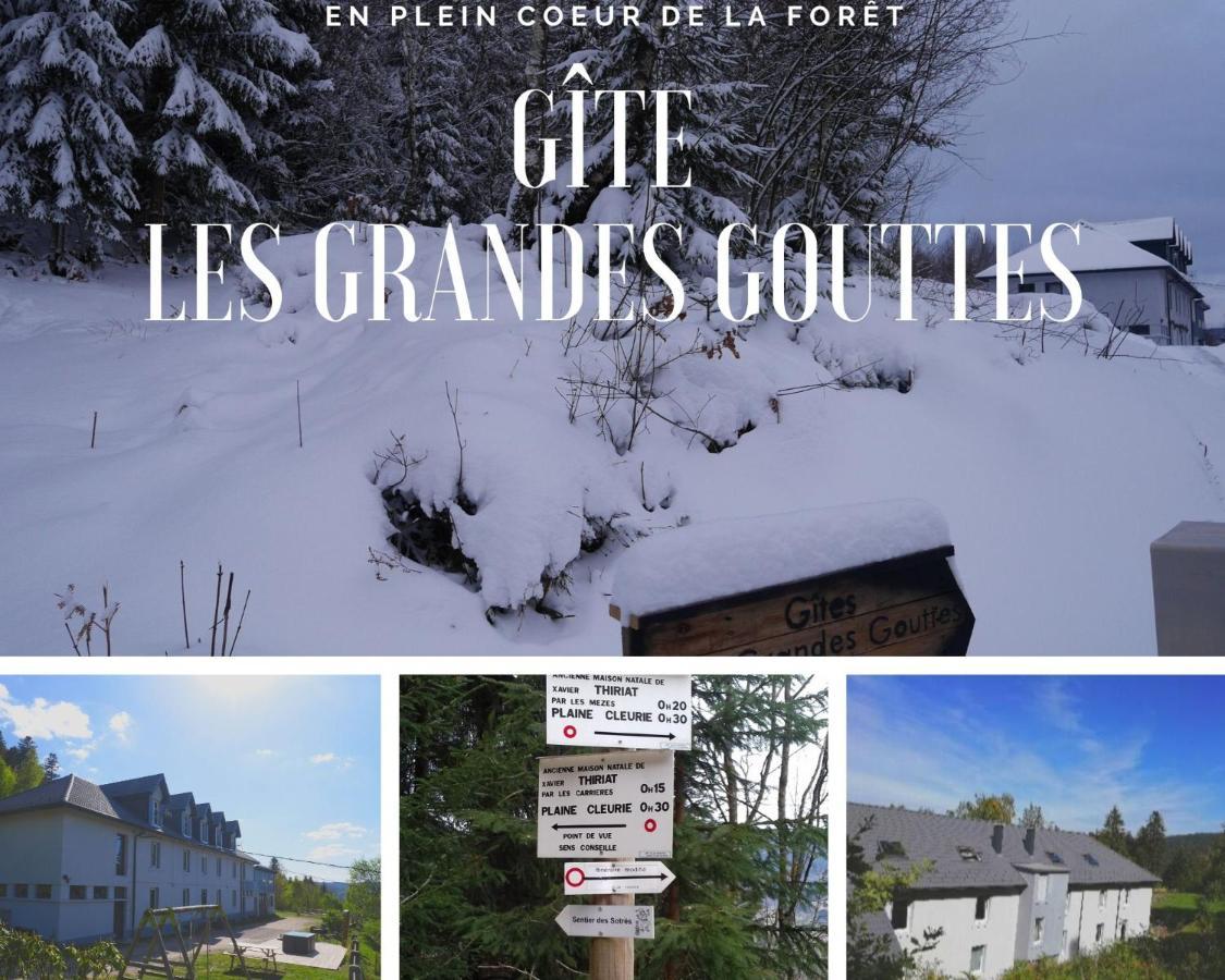 Gites Les Grandes Gouttes Le Syndicat Esterno foto